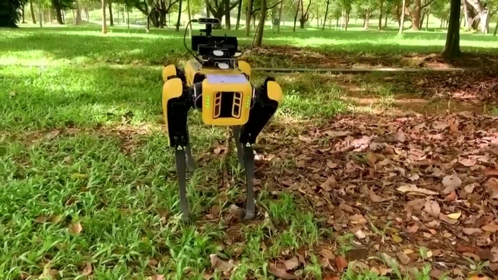 Singapore use Black Mirror style robot dogs to enforce social distancing MARCA in English
