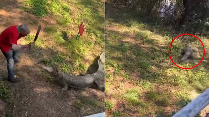 El viral vídeo de un hombre que se defendió del ataque de un cocodrilo...  ¡a sartenazos! | Marca